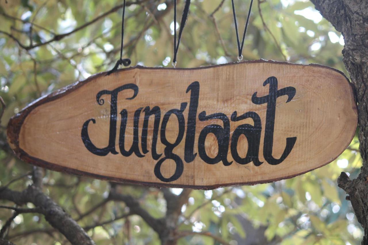 Junglaat Stays & Experiences 다람샬라 외부 사진