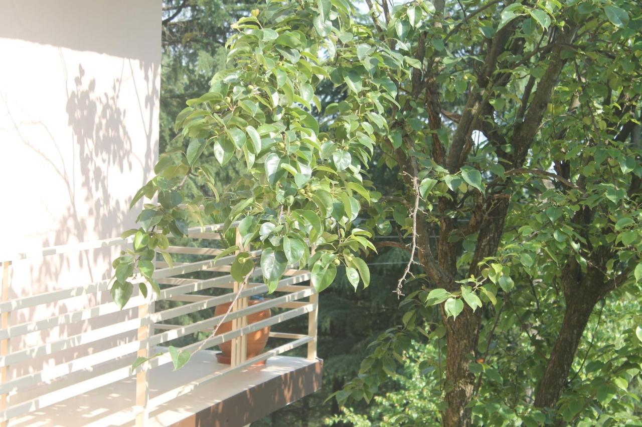 Junglaat Stays & Experiences 다람샬라 외부 사진